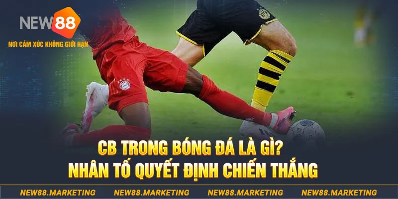 ty phu 88 casino LINK MỚI